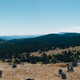 Illustration for article titled Took the Jeeps Up to Mammoth Gulch/Kingston Peak Yesterday